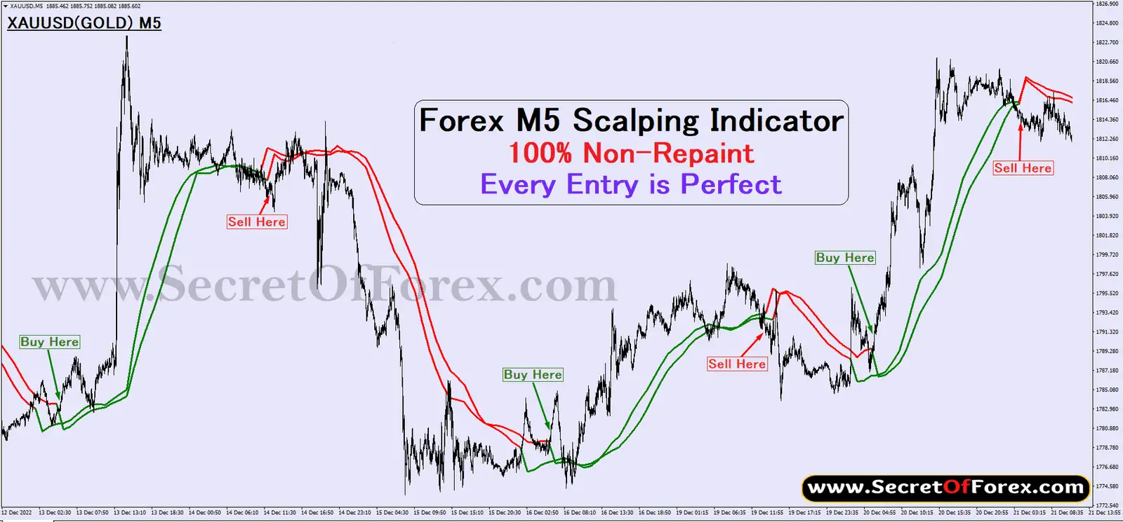 Forex M5 Scalping Indicator