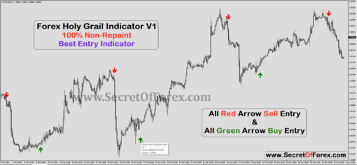 holy grail indicator tradingview