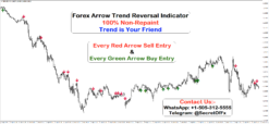 extreme trend reversal point indicator