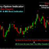 binary trading indicator mt4