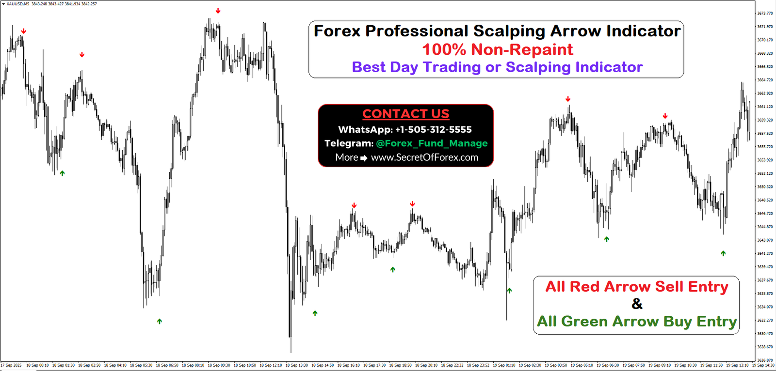 Forex Professional Scalping Arrow Indicator